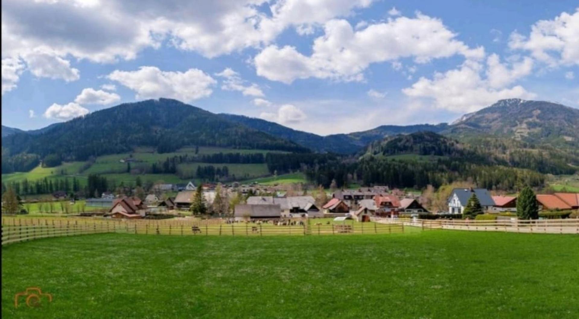 Alpakas, Lamas Und Rentiere Zum Gruenen See Grossdorf  Extérieur photo
