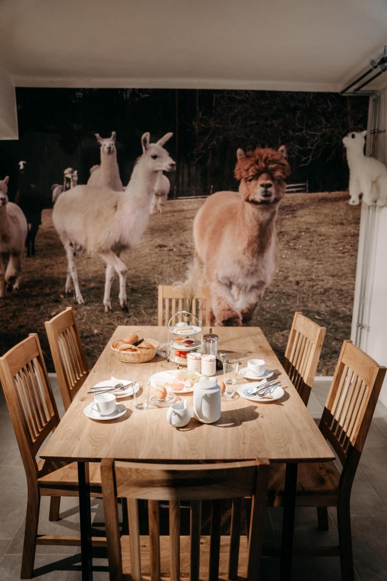 Alpakas, Lamas Und Rentiere Zum Gruenen See Grossdorf  Extérieur photo
