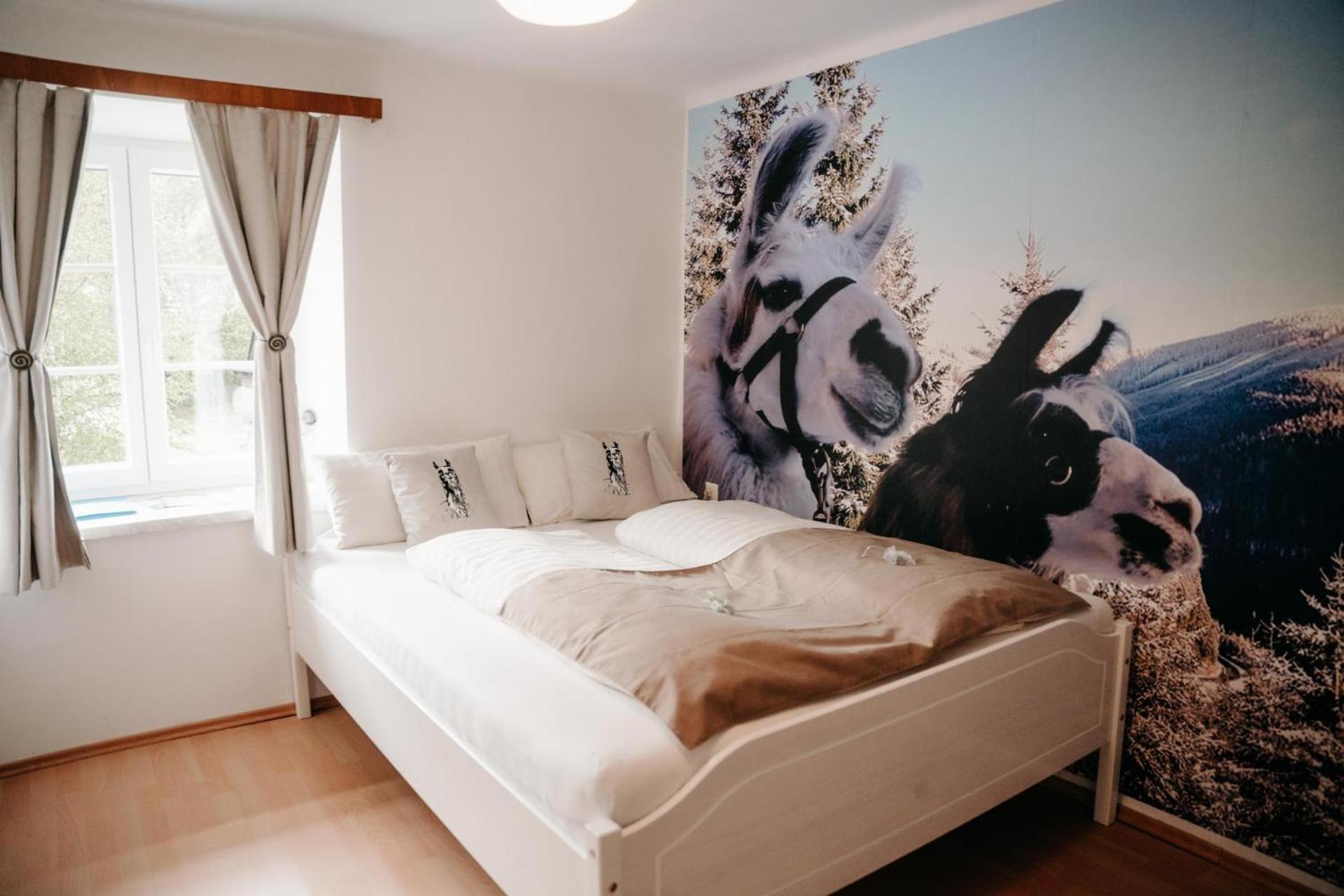 Alpakas, Lamas Und Rentiere Zum Gruenen See Grossdorf  Extérieur photo