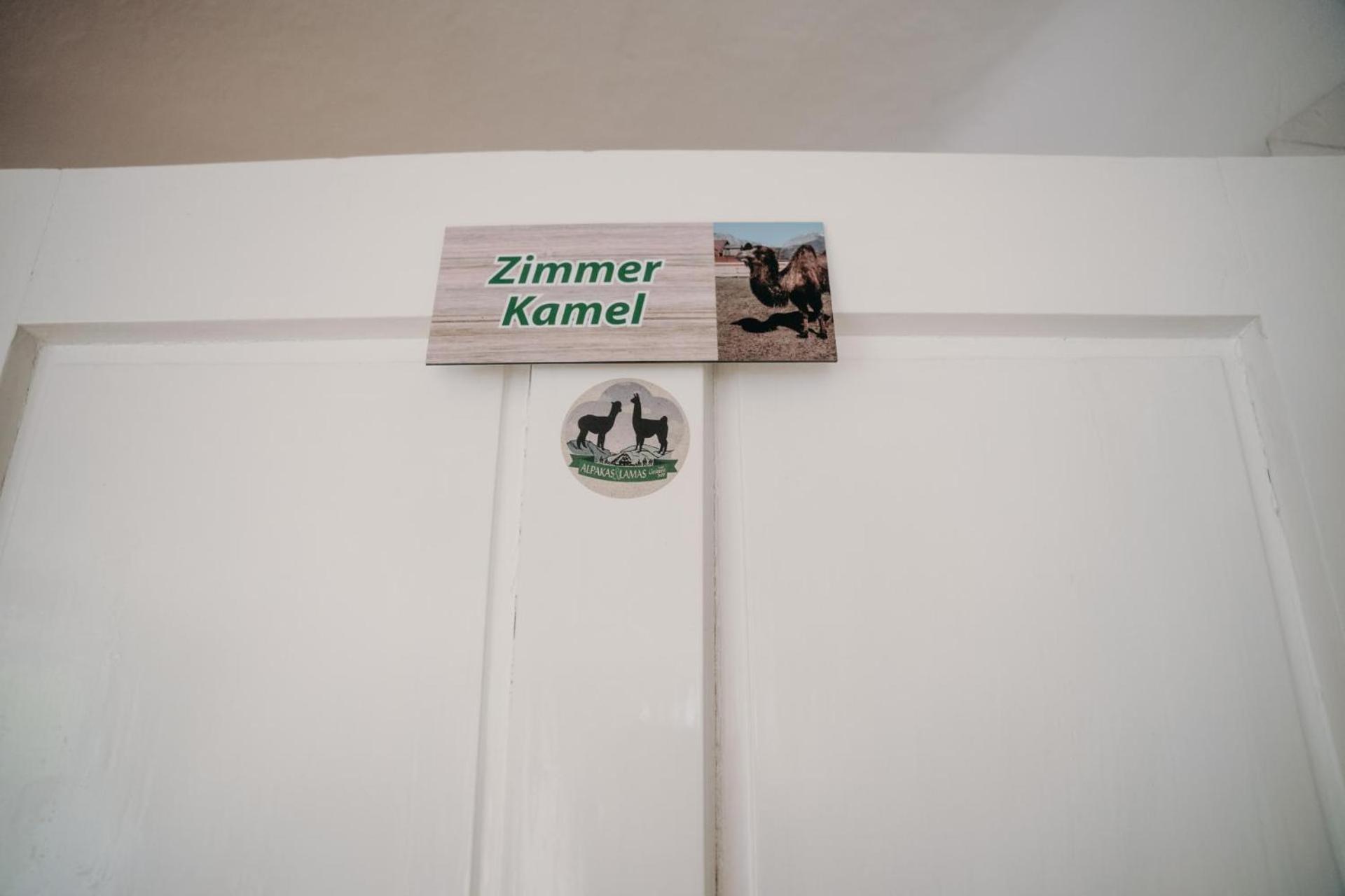 Alpakas, Lamas Und Rentiere Zum Gruenen See Grossdorf  Extérieur photo