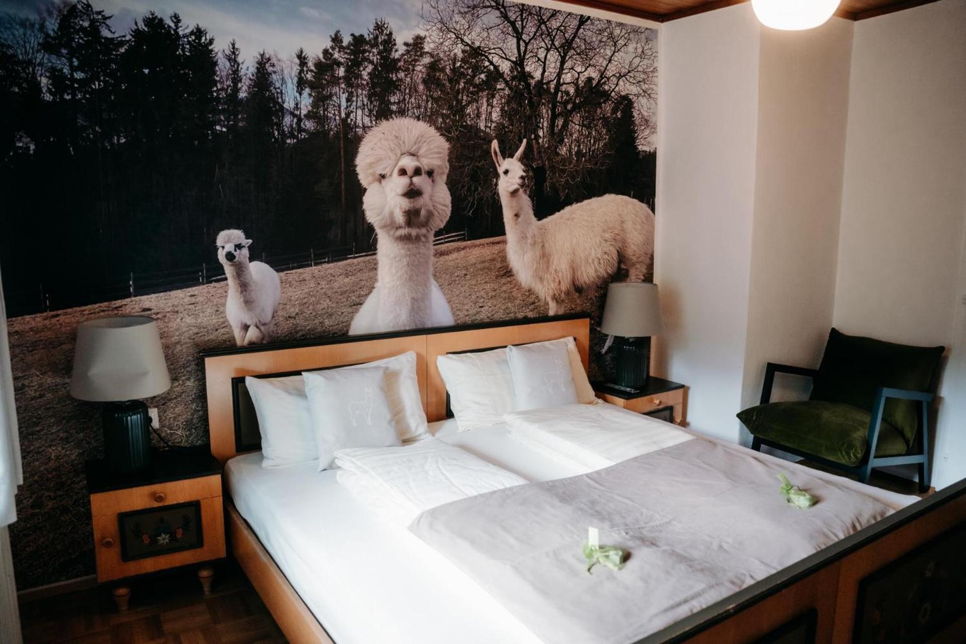 Alpakas, Lamas Und Rentiere Zum Gruenen See Grossdorf  Extérieur photo