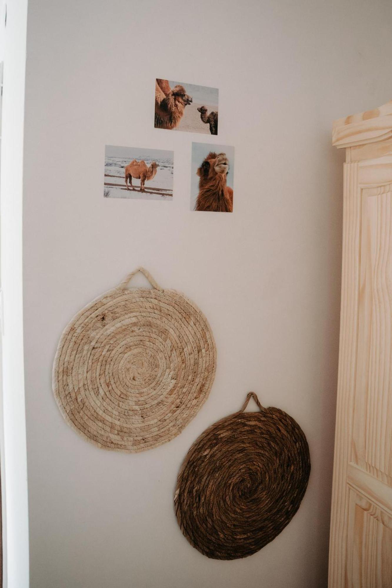 Alpakas, Lamas Und Rentiere Zum Gruenen See Grossdorf  Extérieur photo