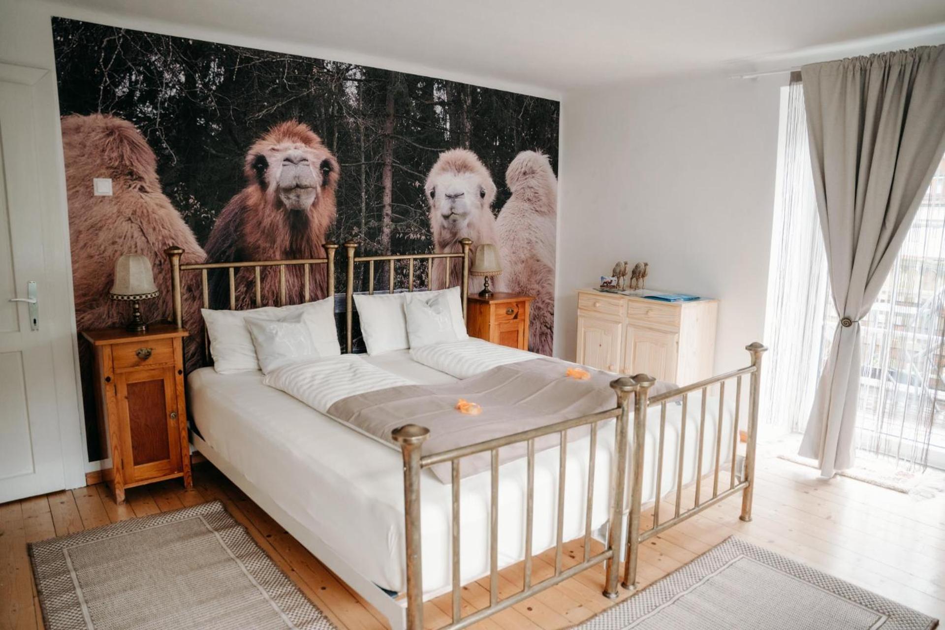 Alpakas, Lamas Und Rentiere Zum Gruenen See Grossdorf  Extérieur photo