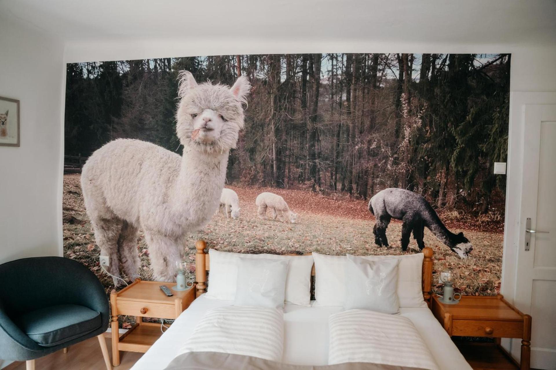 Alpakas, Lamas Und Rentiere Zum Gruenen See Grossdorf  Extérieur photo