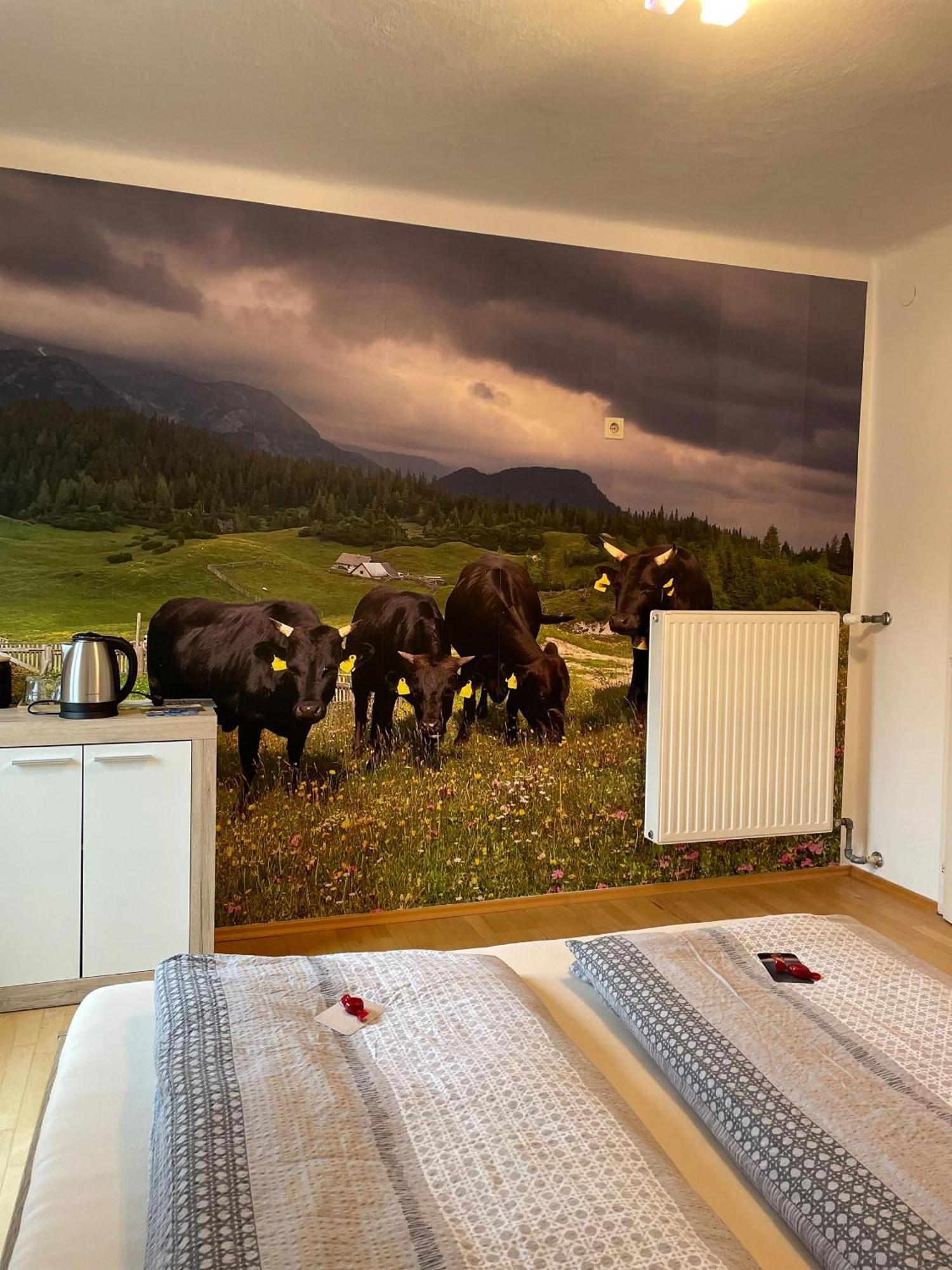 Alpakas, Lamas Und Rentiere Zum Gruenen See Grossdorf  Extérieur photo
